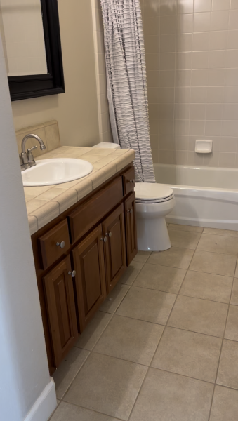 elly bathroom remodel before